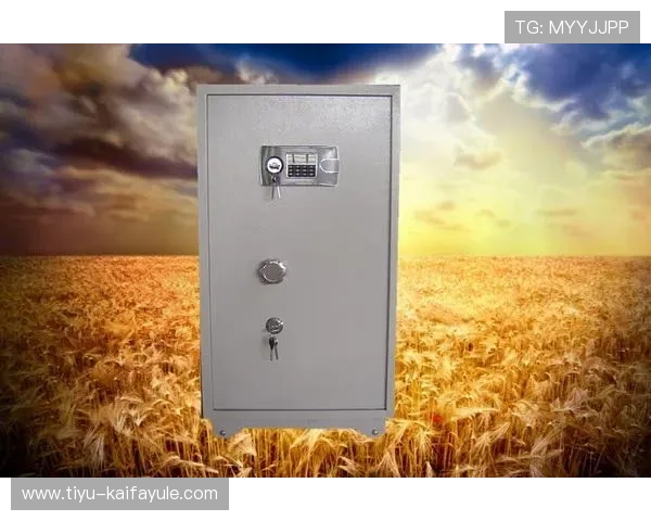 k8凯发官网入口常见问题解答,解决玩家在登录过程中遇到的各种问题与困扰